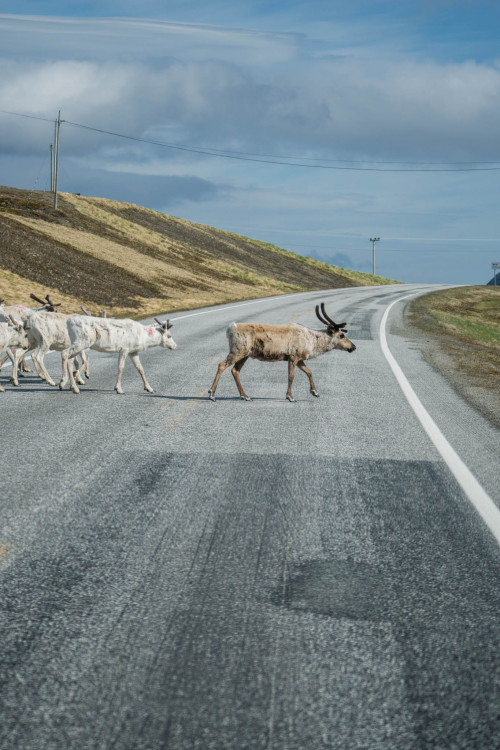 Roadtrip Norwegen